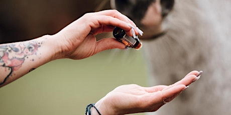 Hauptbild für Animal Essential Touch Methode - Zertifizierungskurs Pferd