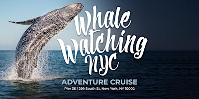 Image principale de Whale Watching NYC Adventure Cruise