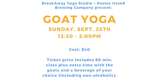 Goat Yoga at Pooles Island Brewing Company.
