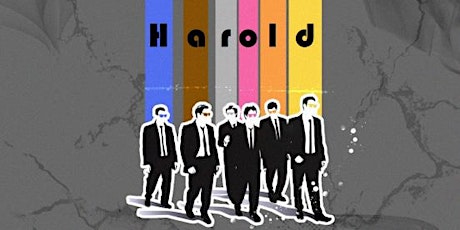 Harold Night featuring Improv 401 Showcase and Haymaker