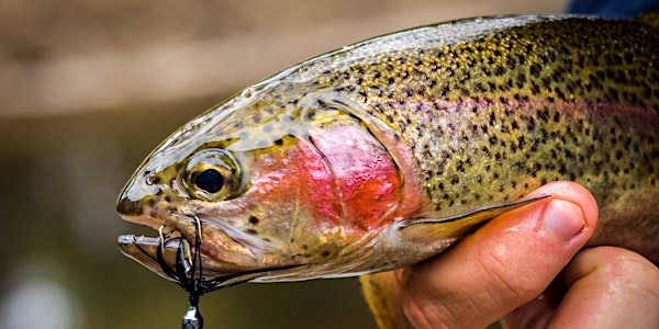 TroutFest - Recfishwest Freshwater Stocking and Fishing Day
