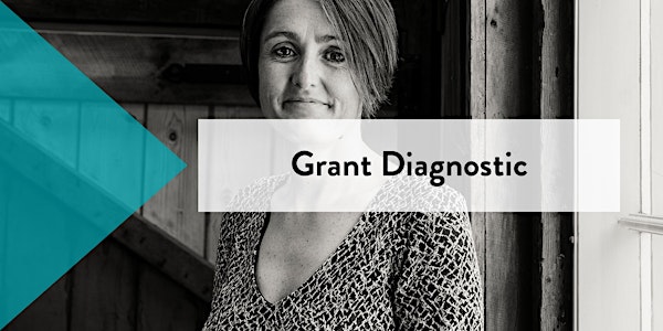 90 Individual Sessions - Grant Diagnostic with Jackie George 