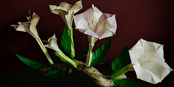 California Native Plant Origami with Esme Cabrera