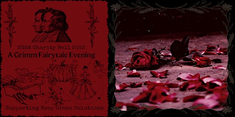 Charity Ball 2022: A Grimm Fairytale Evening