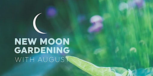 New Moon Gardening - HARVEST!