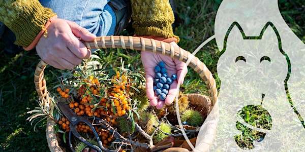 Forage and Feast Walk - ** FREE event Cardiff Met staff & students only **