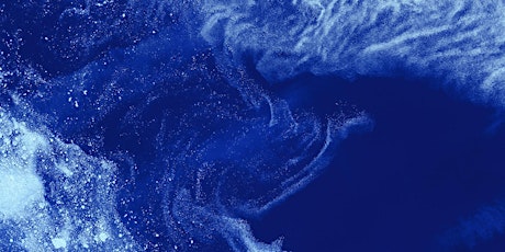 Chiediamolo allo scienziato: oceani e cambiamento climatico