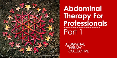 Abdominal Therapy for Professionals Part 1- ATP1, New York City, NY, USA
