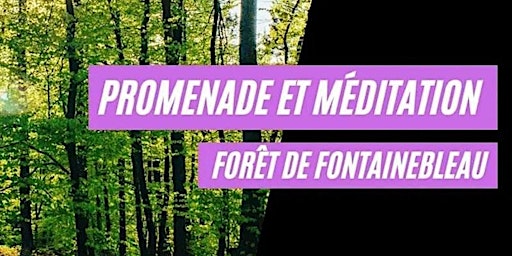 Fontainebleau Initiation marche méditative, méditation en pleine conscience