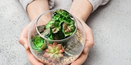 School Holidays: Terrific Terrariums @ Carnes Hill Library - Ages 8-12 primary image