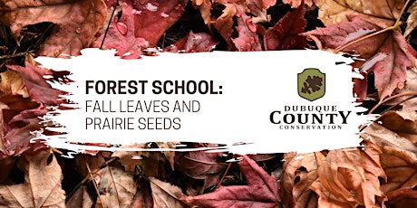 Forest School: Fall Leaves and Prairie Seeds