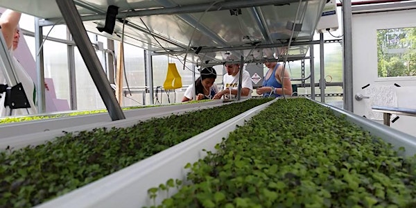 Greenhouse Gardening at George Mason University