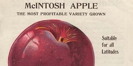 The Secret History of the McIntosh Apple primary image