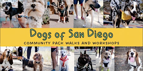 Pacific Highlands Ranch - Carmel Valley Pack Walk