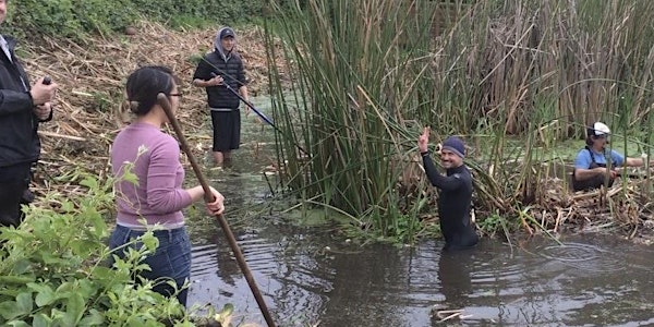 Water Gardening & Alemany Pond Restoration Day