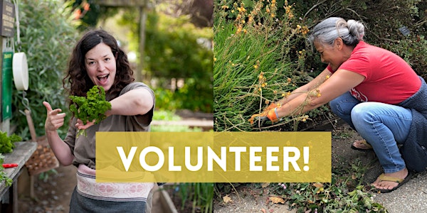 Garden Volunteer Shifts