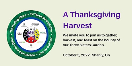 A Thanksgiving Harvest