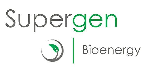 Research Priorities in Biomass Conversion