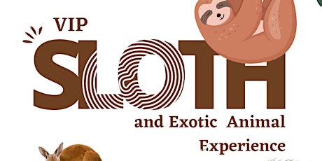 VIP Sloth and exotic animal experience