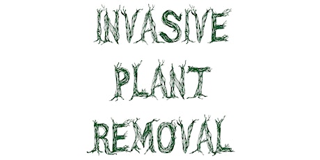 Invasive Plant Removal primary image
