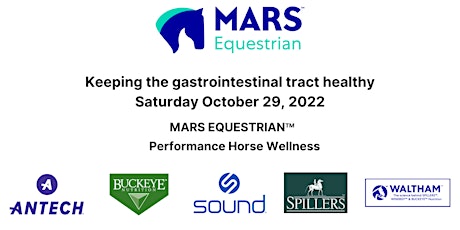 Keeping the gastrointestinal tract healthy: MARS Equestrian primary image
