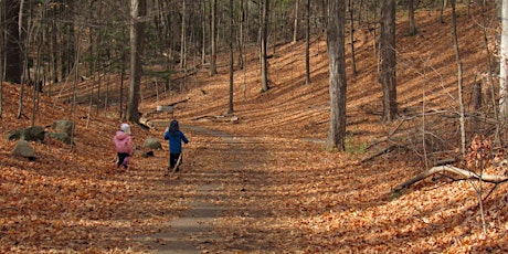 Imagem principal de Family Adventure Walk in the Forest - 2022