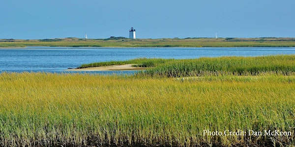 All Aboard with Provincetown 400