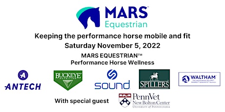 Keeping the performance horse mobile and fit: MARS Equestrian primary image