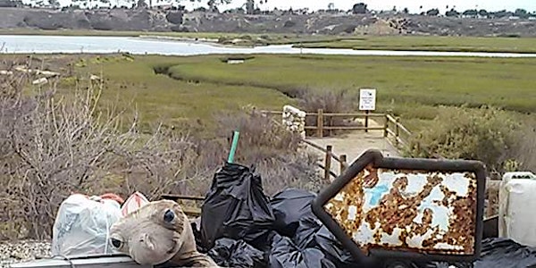 Coastal Cleanup Day at Upper Newport Bay