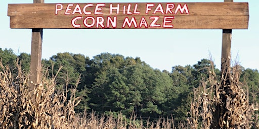 2022 Peace Hill Farm Daytime Corn Maze