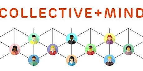 Collective Mind - Networks in Action: Inclusive Facilitation in Networks