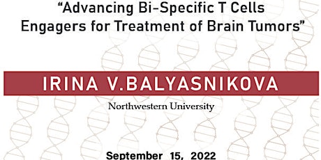 Advancing Bi-Specific T Cells Engagers for Treatment of Brain Tumors