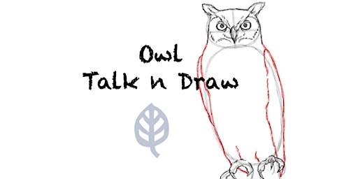 Owl Talk n Draw