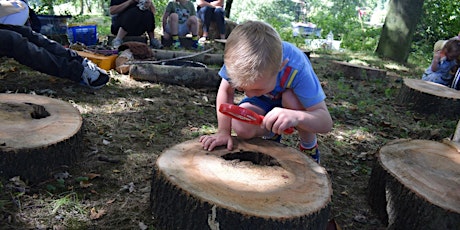 Stanley Park's Summer Forest School primary image