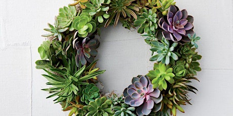 Create Your Own Living Succulent Wreath