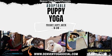 Adoptable Puppy Yoga at the Colorado Athletic Club