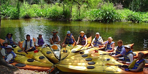 Family Friendly Florida Springs Kayak Tour