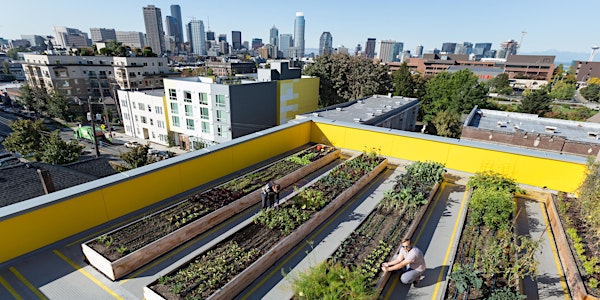 Monthly Capitol Hill Urban Cohousing Tour