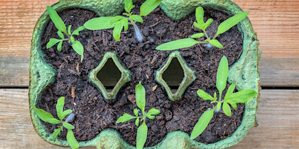 Grow your own Garden @ Darfield Library