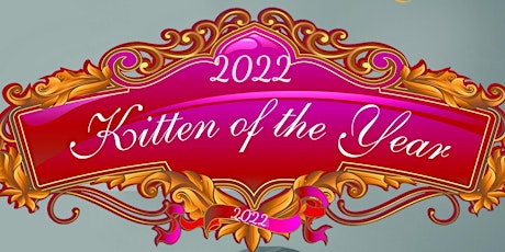 Kitten of the Year 2022