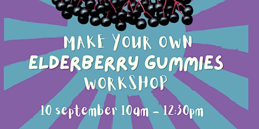 Elderberry Gummies Workshop