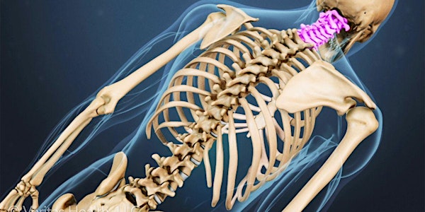 Welcome to Chiropractic!