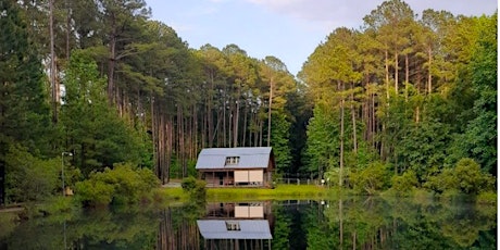 Silent Creation at Sky Pond in Apex, NC