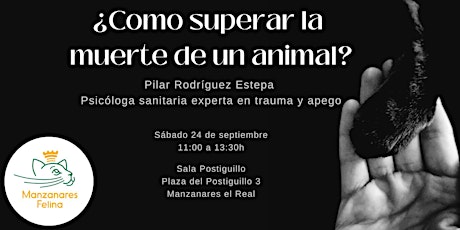 Imagen principal de ¿CÓMO SUPERAR LA MUERTE DE UN ANIMAL?