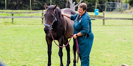 Introduction to Equine Emergency Rescue primary image
