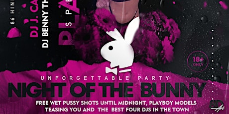PlayBoy Party primary image