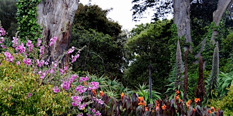 Sign Time Townsville: Townsville Botanic Gardens
