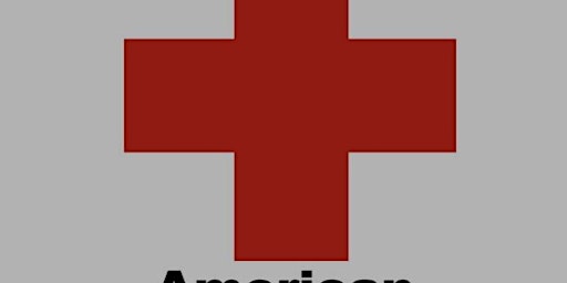 Red Cross Adult First Aid/CPR/AED-r.21  primärbild