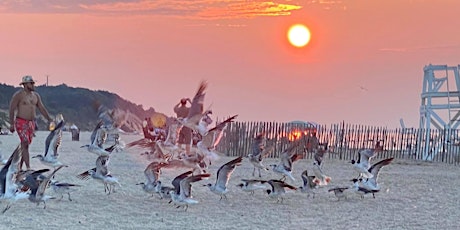 Image principale de Sunken Meadow Sunset Yoga Tuesdays