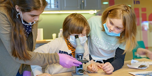 Atelier de biologie pentru GRUPURI(minim 10 copii) 6-14 ani